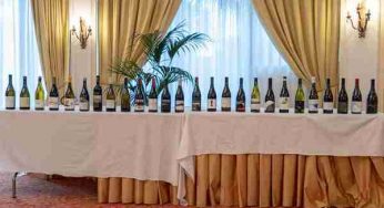 Il vino dell’Etna con 121 cantine recensite e 33 vini imperdibili