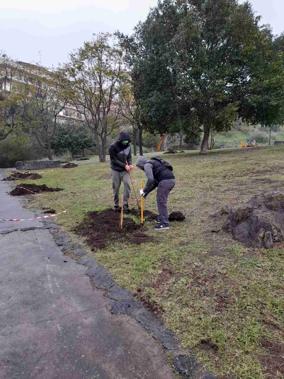 Verde, Plastic free dona un centinaio di alberi di Paulownia per il Parco Gemmellaro