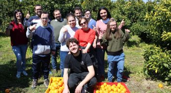 Beni confiscati alla mafia, continua la raccolta solidale di arance