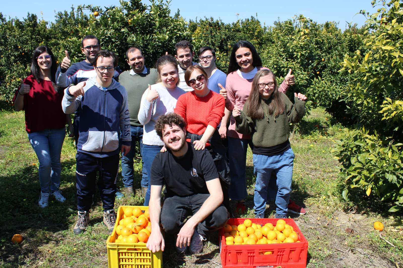 Beni confiscati alla mafia, continua la raccolta solidale di arance