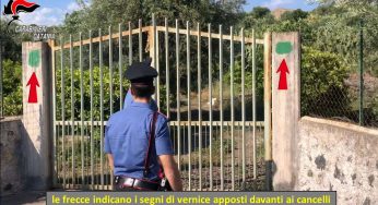 Guardiania di terreni abusiva, cinque indagati