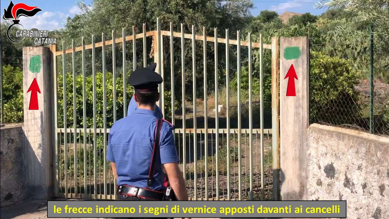 Guardiania di terreni abusiva, cinque indagati