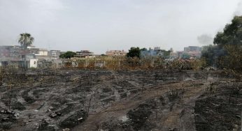 Emergenza roghi a Catania: Ersilia Saverino, “Servono misure adeguate”