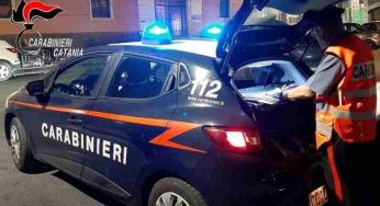 Maltrattamento di animali, denunciata una 47enne