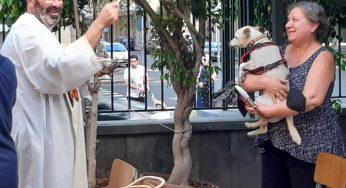 Corso Italia e i suoi cani accolti nella Parrocchia Cristo RE