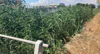 Zona industriale: torrenti e canali di scolo ostruiti, Ugl chiede interventi