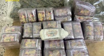 Sequestrata droga del valore di 165 mila euro