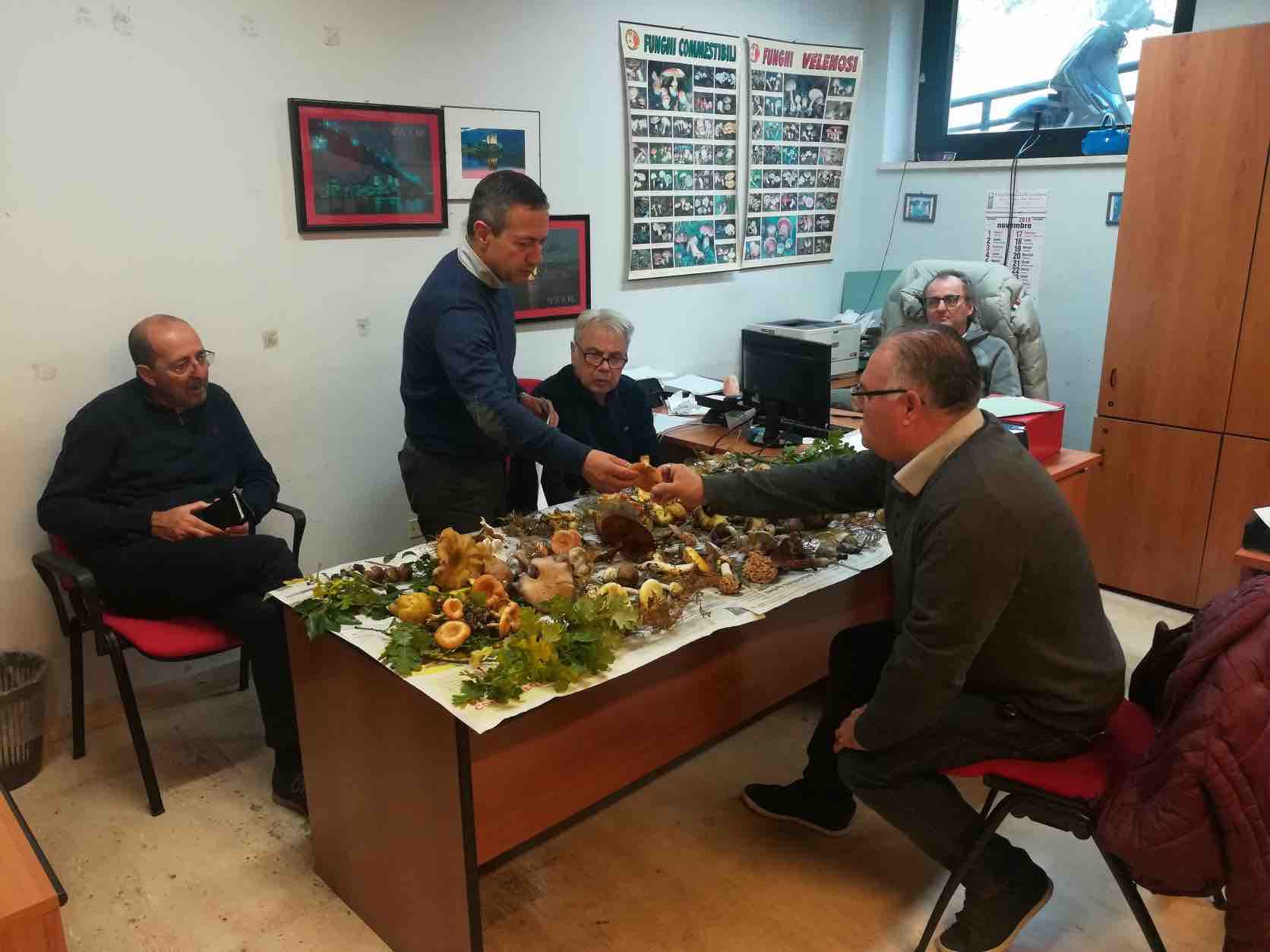 Ottobrata e Fungo sicuro