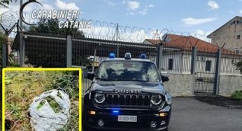 Giarre: beccati col sacco pieno di avocadi, due arresti
