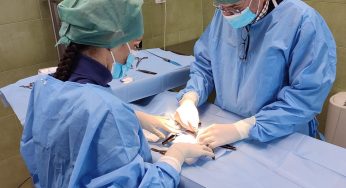 Ripartita e a pieno regime l’attività di sterilizzazione gratuita di cani e gatti