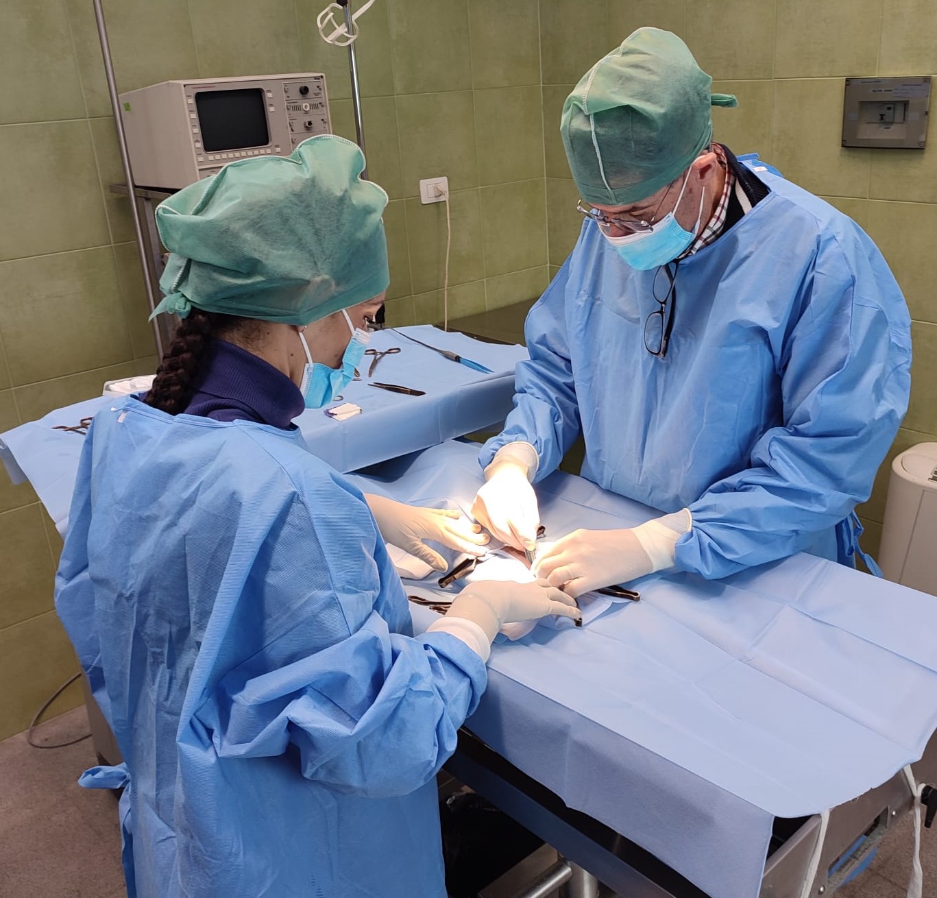 Ripartita e a pieno regime l’attività di sterilizzazione gratuita di cani e gatti