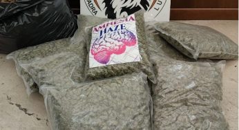 Arrestato un 25enne trovato con una pistola e con 13,5 kg di marijuana a casa