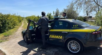 Catania, maxi sequestro di droga: tre arresti e oltre 7 kg di stupefacenti intercettati dalla Guardia di Finanza