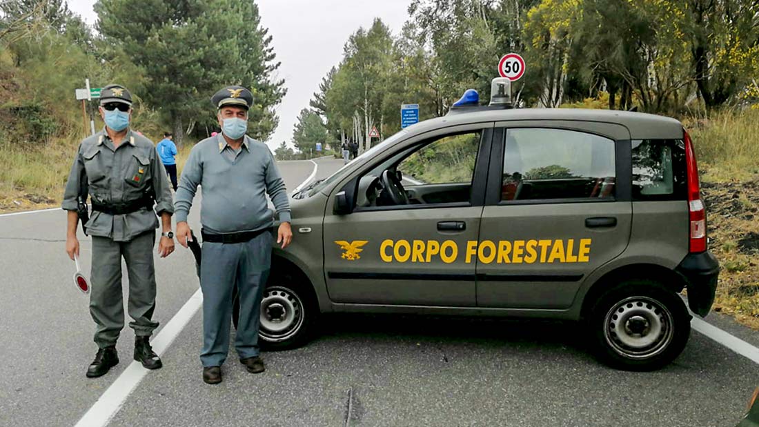 PD Sicilia, “il concorso della forestale va annullato”