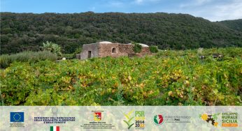 “Regione europea della Gastronomia 2025”