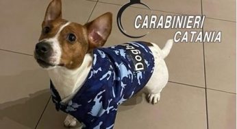 Cagnolino rischia di soffocare, i Carabinieri gli salvano la vita