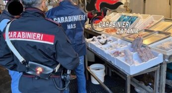 Controlli a tappeto in Pescheria, gli abusivi si danno alla fuga