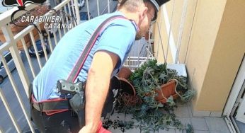 Impegno dei Carabinieri nel prevenire e contrastare la violenza di genere
