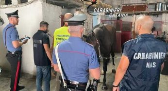 Operazione a Catania: i Carabinieri impegnati nella tutela degli animali