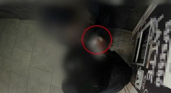 Rapina aggravata, eseguita misura cautelare