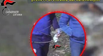 Blitz dei Carabinieri ad Aci Catena, smantellata la rete di spaccio legata al clan Santapaola-Ercolano