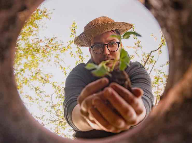 giardino (pexels) - cataniaoggi