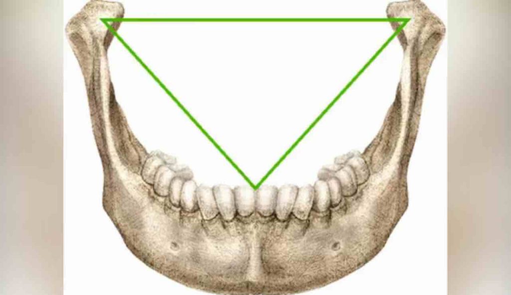 codice Da Vinci (infobae) - cataniaoggi
