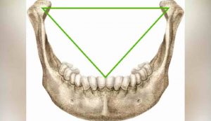 codice Da Vinci (infobae) - cataniaoggi