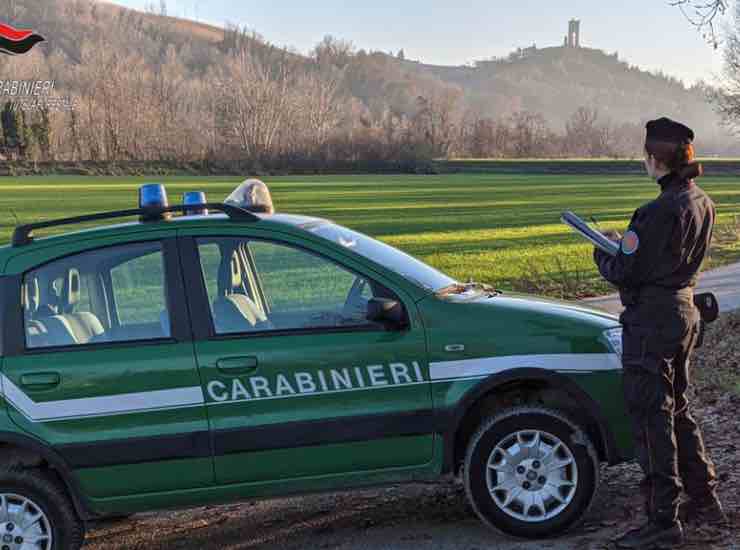 forestale (carabinieri) - cataniaoggi