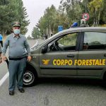 Sicilia, giurano 46 nuovi agenti del Corpo Forestale: in servizio da lunedì, altri 188 in arrivo