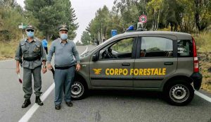 forestale (regionesiciliana) - cataniaoggi