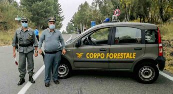ASSUNZIONI URGENTI FORESTALI – Basta marcare questa crocetta e ti prendono al volo: stipendio base 2.000€ | Altro che Carabinieri