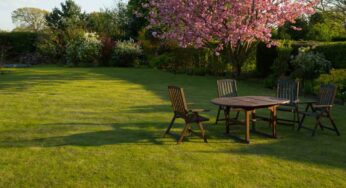 Divieto assoluto in tutta la UE: questo utensile da giardino è proibito dal 2012 | Lo usi a iosa tutto il tempo, rischi enormi