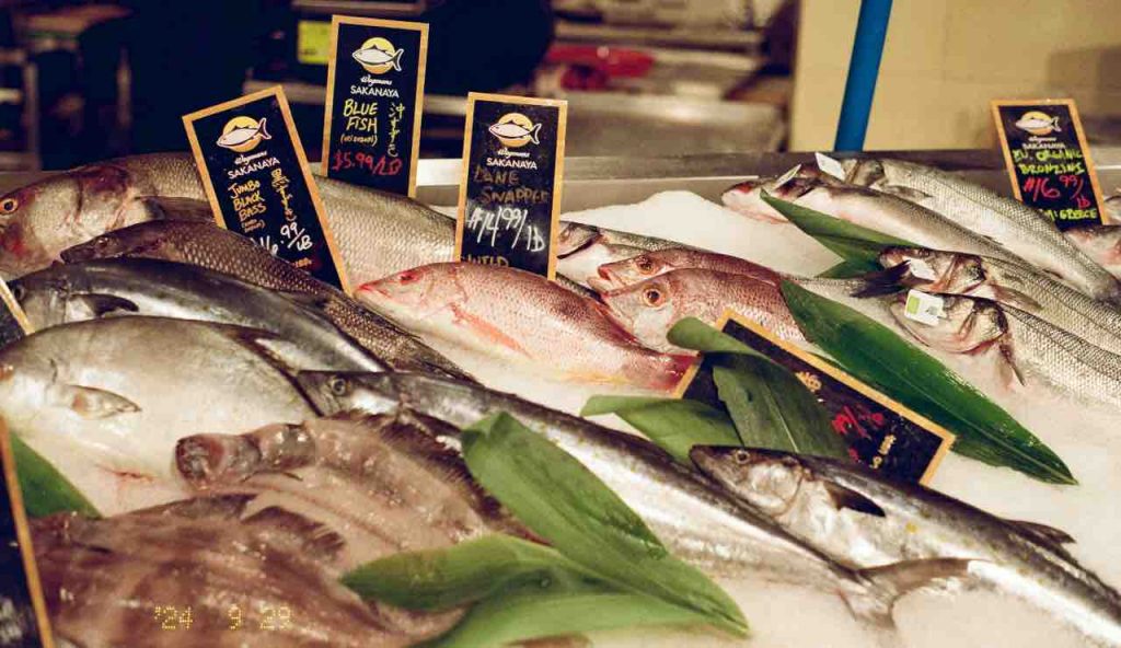 pesce (pexels) - cataniaoggi