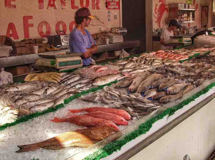 pesce (pexels) - cataniaoggi