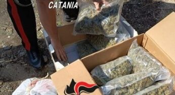 Guardia Mangano, sequestrati oltre 8 chili di marijuana