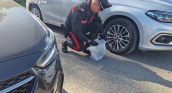 Catania, Carabinieri scoprono 20 grammi di marijuana: denunciato un uomo di Paternò