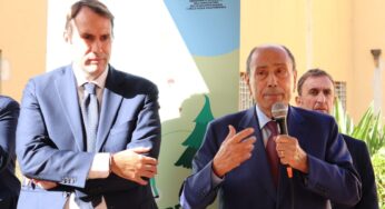 Giornata dell’Albero in Sicilia: ulivo al Malaspina e iniziative negli istituti minorili