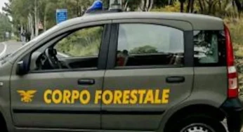 Sicilia, 1,2 milioni per rafforzare il Corpo forestale e incentivare i controlli fiscali