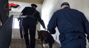 Catania Librino, controlli Carabinieri e sequestri