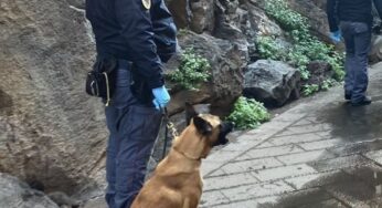 Blitz della Polizia di Stato a San Berillo: 80 fermi e sanzioni commerciali
