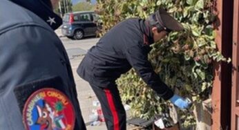 Nucleo Investigativo di Catania sequestra marijuana e denuncia due giovani
