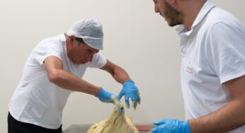 Fiasconaro, Castelbuono e Sicilia: tradizione che viaggia oltre oceano e ritorna in piazza.