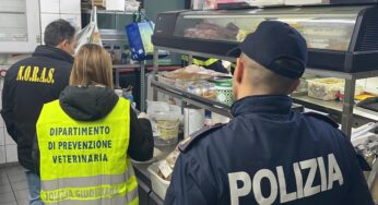 Pesce congelato venduto per fresco e bombole illegali: raffica di denunce nei ristoranti della Catania bene