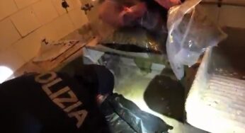 Catania, operazione antidroga della Polizia: scoperto deposito con 8,4 kg di marijuana