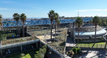 Università di Catania: il Di3A al quarto posto nazionale nel ranking QS per l’area Agriculture & Forestry