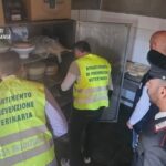 Carabinieri Catania e Asp: controlli igienico-sanitari in un deposito di prodotti caseari