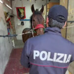 Spari in aria e cavalli a tutta velocità: sgominata corsa clandestina nel Catanese
