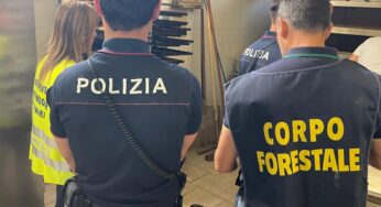 Intonaco sul cibo e mosche in cucina: bar sospeso a Tremestieri Etneo dopo l’ispezione della task force