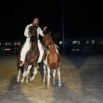 Si chiude tra gli applausi alla Tenuta Ambelia la 7ª Fiera Mediterranea del Cavallo